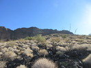 photo thumbnail #3