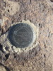 photo thumbnail #12