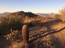 photo thumbnail #1