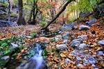photo thumbnail #1