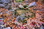 photo thumbnail #2