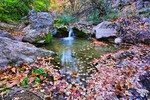 photo thumbnail #4