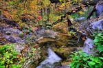 photo thumbnail #6