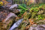 photo thumbnail #9