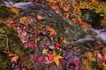 photo thumbnail #11