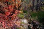 photo thumbnail #13