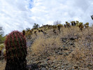 photo thumbnail #3