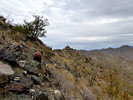 photo thumbnail #4