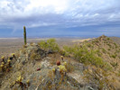 photo thumbnail #14