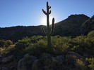 photo thumbnail #3