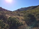 photo thumbnail #6