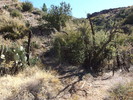 photo thumbnail #14