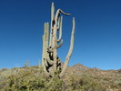 photo thumbnail #13