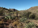photo thumbnail #11