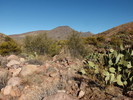 photo thumbnail #10