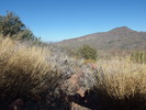photo thumbnail #9
