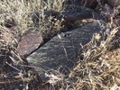 photo thumbnail #8