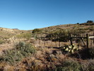 photo thumbnail #7