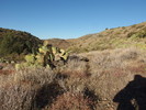 photo thumbnail #5