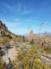photo thumbnail #5