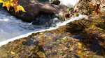 photo thumbnail #5