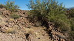 photo thumbnail #6
