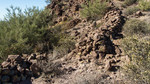 photo thumbnail #11