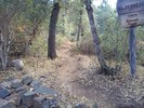 photo thumbnail #12