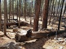 photo thumbnail #5