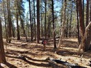 photo thumbnail #14