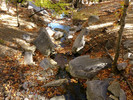 photo thumbnail #13