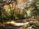 photo thumbnail #14