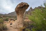 photo thumbnail #10