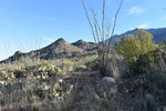 photo thumbnail #1