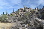 photo thumbnail #2