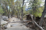 photo thumbnail #13