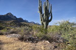 photo thumbnail #4
