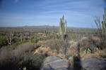photo thumbnail #5