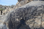 photo thumbnail #10