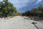 photo thumbnail #12