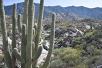 photo thumbnail #15