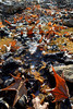 photo thumbnail #10