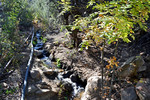 photo thumbnail #11