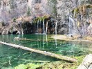 photo thumbnail #10