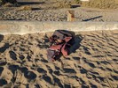 photo thumbnail #2