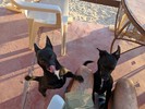 photo thumbnail #3
