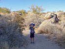 photo thumbnail #4
