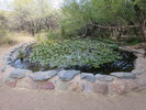 photo thumbnail #10