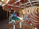 photo thumbnail #7