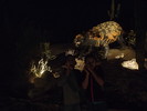 photo thumbnail #12